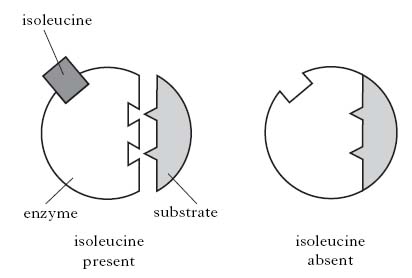 AH2007MCQ10.jpg