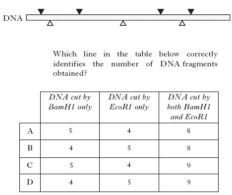 AH2008MCQ10.jpg