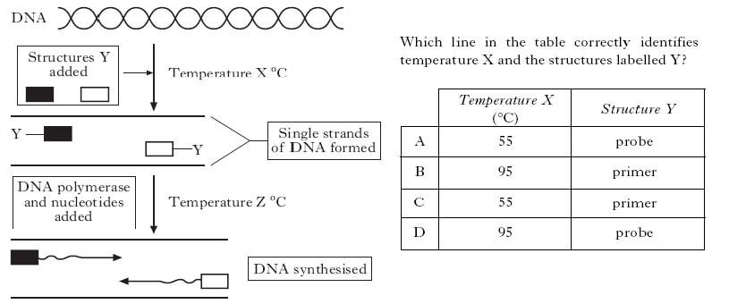 AH2008MCQ11.jpg