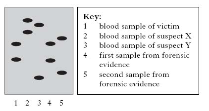 AH2008MCQ12.jpg