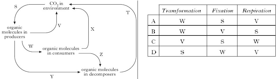 AH2008MCQ14.jpg