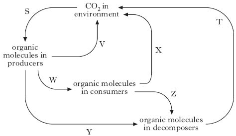 AH2008MCQ15.jpg