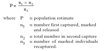 AH2008MCQ17.jpg