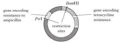 AH2009MCQ11.jpg