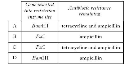 AH2009MCQ11A.jpg