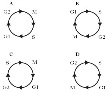 AH2009MCQ2.jpg