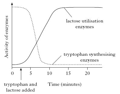 AH2009MCQ9.jpg