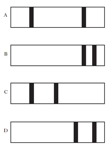 AH2010MCQ13B.jpg