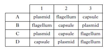 AH2010MCQ1A.jpg