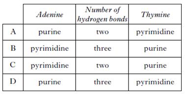 AH2010MCQ5.jpg