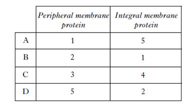 AH2010MCQ7A.jpg