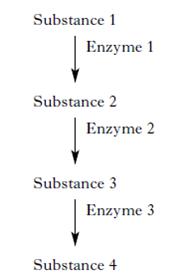 AH2010MCQ8.jpg